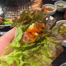 신풍역 3번 출입구 | 신풍역 근처 삼겹살 맛집 동래정 신풍역점 솔직 리뷰
