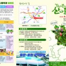 강원산약초산나물