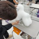 동탄에이스애견미용학원
