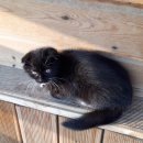 대관령 지니하우스 이미지