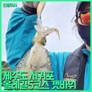 남원읍-85 이미지