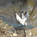 모꼬지마을 이미지