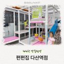 편편집 다산역점 | 다산 아이와 외식하기 좋은 곳 : 편편집 다산역점 샤브샤브 후기