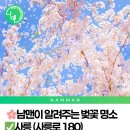 사능천 자전거도로1 네이버블로그