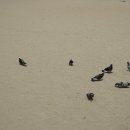 호메르스호텔(주) 이미지