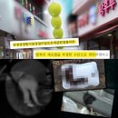 탕후루정 이미지