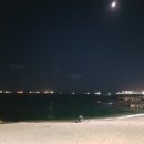 성원분식 - 성남시 분당구 벌말로 41 | 성원분식