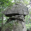 도마치계곡 이미지