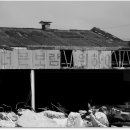 대성자동차 이미지