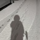 바른누리치과의원 이미지