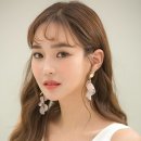 네이처제이 네이버블로그