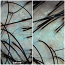 당감동물병원 | [251124-251130]나혼자 일기쓰기(11월4주차)