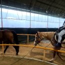 진스스포츠아카데미 이미지