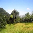 상주힐링별장 이미지