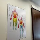 입선한의원 이미지