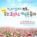 북천꽃단지 이미지