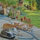 송계계곡민박 이미지