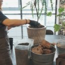 대구가든 이미지