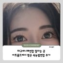 시몽드이미지살롱 | 대구애니메연장 잘하는 곳 아트몽드에서 받은 속눈썹 연장 후기