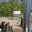 여주 강천면 테라스카페 플루비아 메뉴 후기