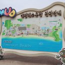 말통커피대천항점 | [대천] 충남 대천 가볼만한곳 - 대천항 수산시장 / 대천 해수욕장