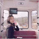 비건베이커리해피니스 | 부산3박4일 여행 (라마다앙코르호텔, 해운대해수욕장,자갈치시장,흰여울마을,해동용궁사)생생후기