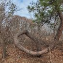 도화전통시장 이미지