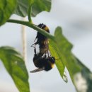 나비오리농원 이미지