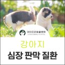 아이조은동물병원 이미지