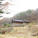 기포리 영산사석불좌상(基浦里 靈山舍石佛坐像) 티스토리