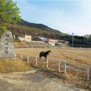 대덕승마장 이미지