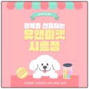 천사펫 | 팔곡고양이분양 후기 유앤미펫에서 만난 천사 같은 렉돌 고양이