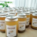 지선정담
