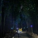 고래정원 | 울산아기랑 가볼만한곳 / 울산태화강국가정원, 장생포 고래문화마을