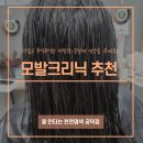 [용산구 미용실] 모발 크리닉 받은 후기, 가늘고 힘없는 모발 추천!