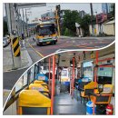 간월재 26년 7월5일(일) 주암입구~간월재~등억~작천정 19km 이미지