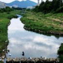 월성 빗물펌프장 이미지