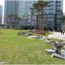 옥계동부초교 이미지