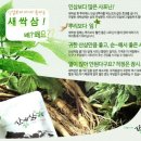 아삼 이미지