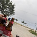 동호블루 | 🌊 양양 블루테라스 펜션 내돈내산 방문 후기: 동호해변 앞 오션뷰 숙소