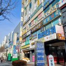 애견미용실 일호 | 수원 속중동 조원동 가위컷 전문 애견미용실 그루밍사운드 솔직 후기