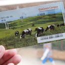 금성목장 이미지