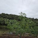 고우농장 이미지