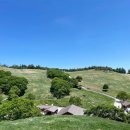 현이목장 이미지