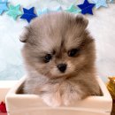 경기도 수원시 권선구 세지로82번길 3 (권선동) 이미지