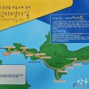 신지몰