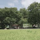 팜프라촌 이미지