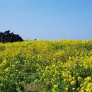 주상희행정사사무소 이미지