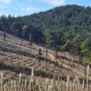 상단농장 이미지