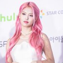 핑크헤어 이미지